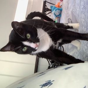 Meet your Posher, Devin